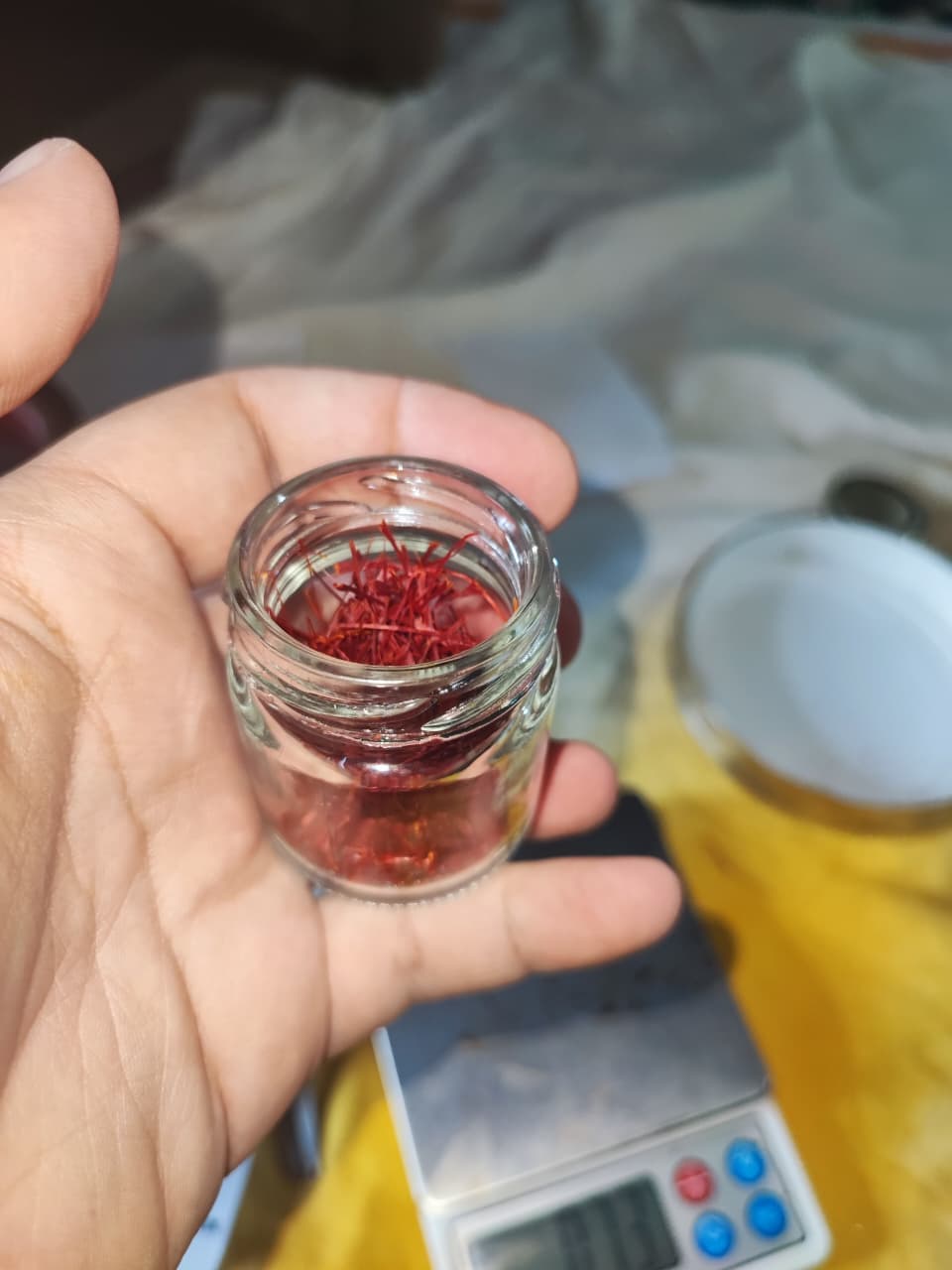 GI Tag Kashmiri Saffron — Geographical Indication Certified — photograph 7 of 16