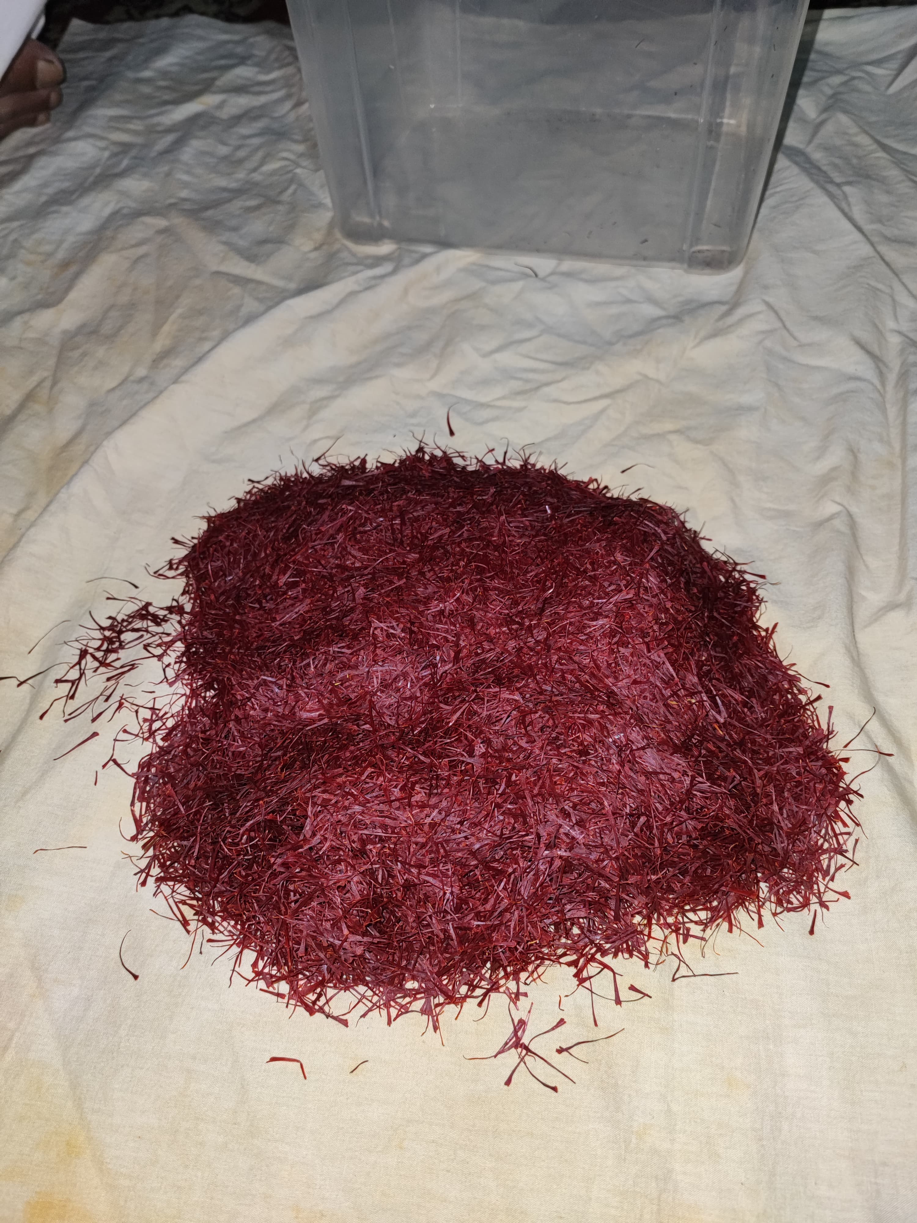 GI Tag Kashmiri Saffron — Geographical Indication Certified — photograph 10 of 16