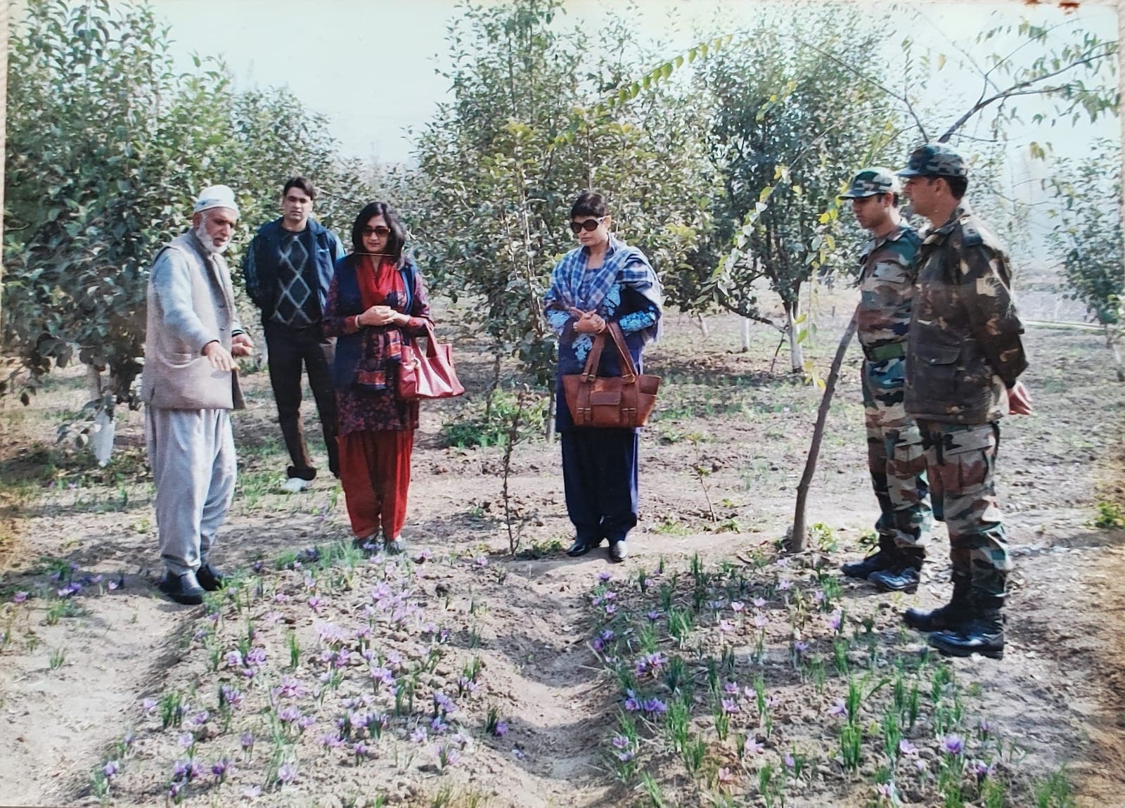Our family elder hosting Indian Army officers in our blooming saffron fields in Pampore, Kashmir