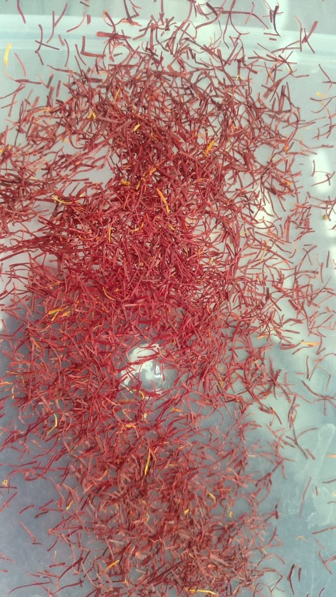 Graded saffron threads on a sorting plate