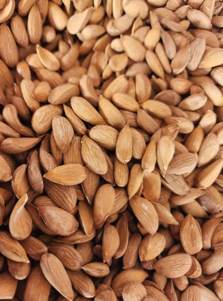 Skin-on almonds close up and filling the frame, the kernels narrow and pointed with fine lengthwise grooves