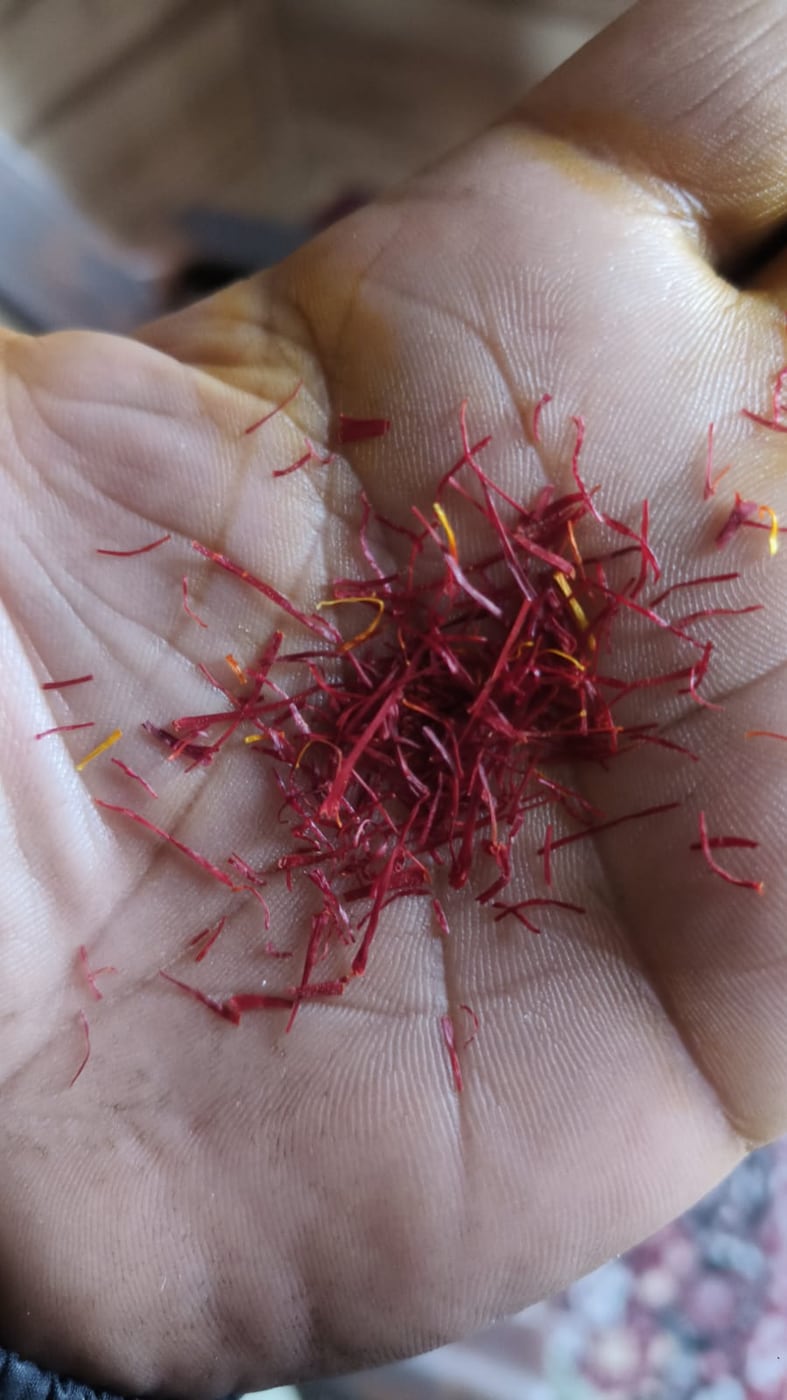 A small pinch of dried saffron threads held in an open palm, loose strands scattered across the fingers