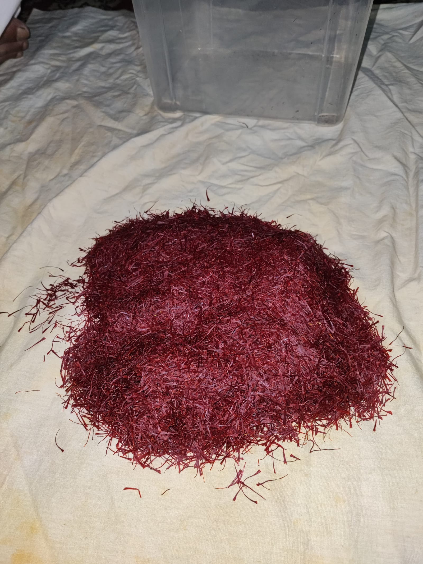 A large mound of dried saffron heaped on a cream sheet beside a clear plastic storage crate