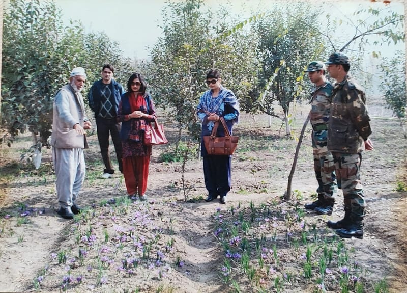 The Indian Army at our saffron fields in Pampore