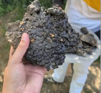 A hand holding a large lump of dark brown shilajit resin above a grey boulder