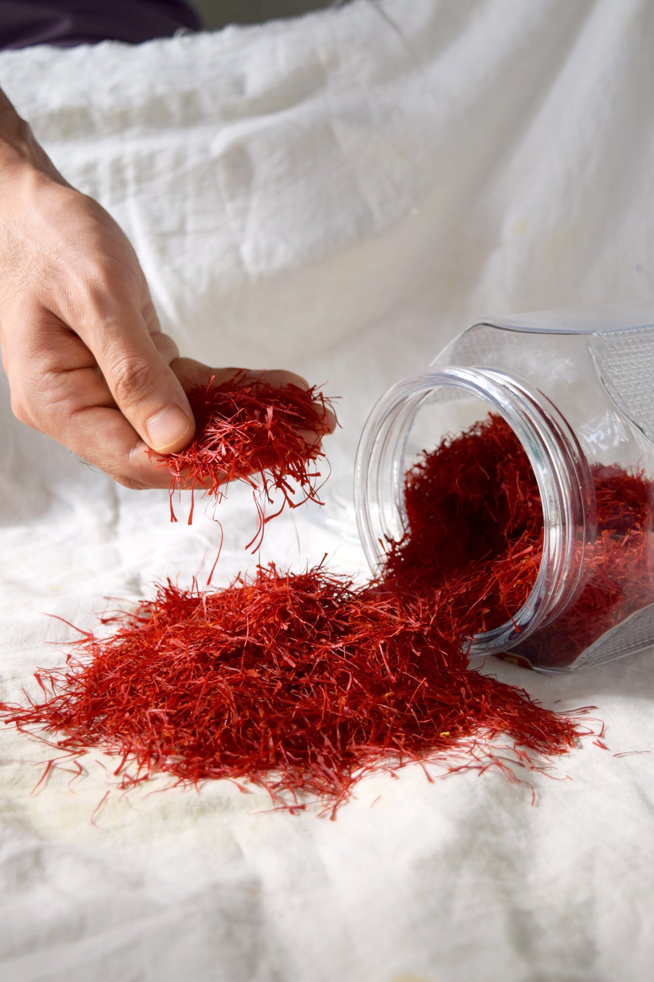 A hand lifting a pinch of red saffron threads out of a tipped glass jar onto white cloth